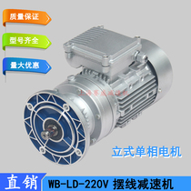 220V vertical cycloid reducer WB100-LD-23-750W household small reducer WB120 WB85