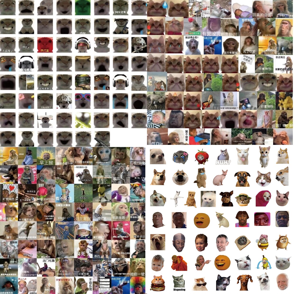 歪嘴小猫表情包地铁逃生广西大师表情包猫meme丑猫抖音热门贴纸到底值不值得？_手机游戏_淘宝游戏网