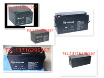 RIMA Ruima battery UN17 12V7AH 24AH38AH65 100AH120AH 200A150 security