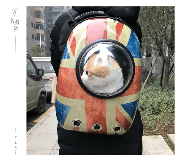 Mèo túi mèo túi mèo lồng thú cưng mang ra vai du lịch ba lô không gian túi mèo ra ngoài mang túi - Cat / Dog hàng ngày Neccessities đồ uống nước cho chó