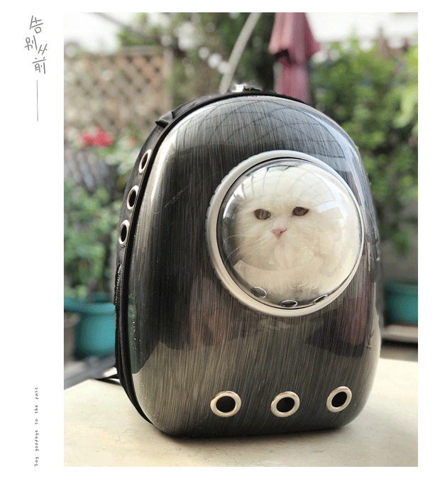 Mèo túi mèo túi mèo lồng thú cưng mang ra vai du lịch ba lô không gian túi mèo ra ngoài mang túi - Cat / Dog hàng ngày Neccessities đồ uống nước cho chó