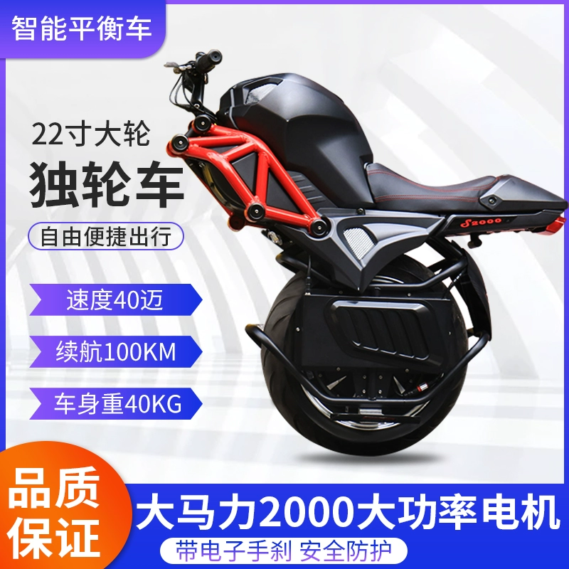 Xe tay ga tự cân bằng 22 inch - Smart Scooter