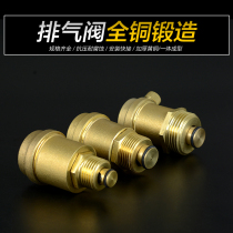 All copper manual exhaust valve heating exhaust valve pipe pipe water pipe bleed valve 4 minutes 6 minutes 1 inch DN15DN20DN25