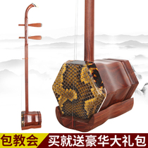 Bayin red sandalwood Erhu musical instrument factory direct sales examination grade Huqin African leaf red sandalwood playing Erhu clear throw no paint