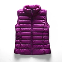 Сиреневый жилет