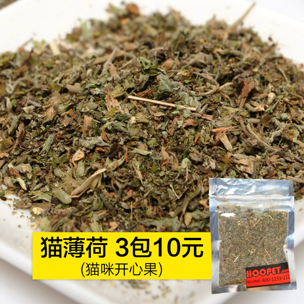 Lele mèo cưng * catnip đơn giản 5g tẩy lông mèo hỗ trợ tiêu hóa mèo ăn nhẹ lông 3 gói 10 nhân dân tệ - Đồ ăn nhẹ cho mèo