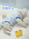 猫咪衣服防掉毛夏季薄款的布偶猫小猫宠物母猫纯棉猫猫夏天绝育衣