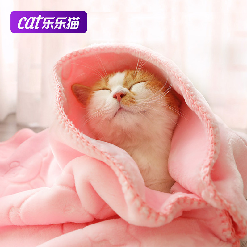 Cat Blanket Kitty Special Small Blanket Small Quilt Cat With Pet Cat Mat Young Cat With All Season Pet Blanket
