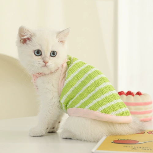 Летний осенний шнурок-держатель, тонкий жилет, эффект подтяжки