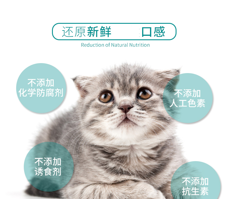 Huanhuazi Pet Cat Snacks 85g * 12 British Short Beauty Short Mèo Mèo Mèo Mèo Snacks Phần thưởng Đồ ăn vặt - Đồ ăn nhẹ cho mèo hạt cateye cho mèo có tốt không