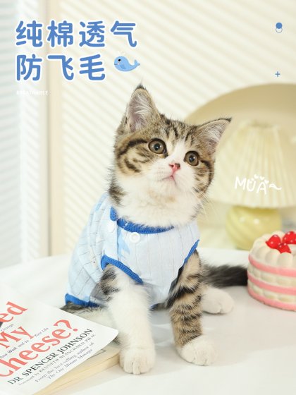 猫咪衣服防掉毛夏季薄款的布偶猫小猫宠物母猫纯棉猫猫夏天绝育衣