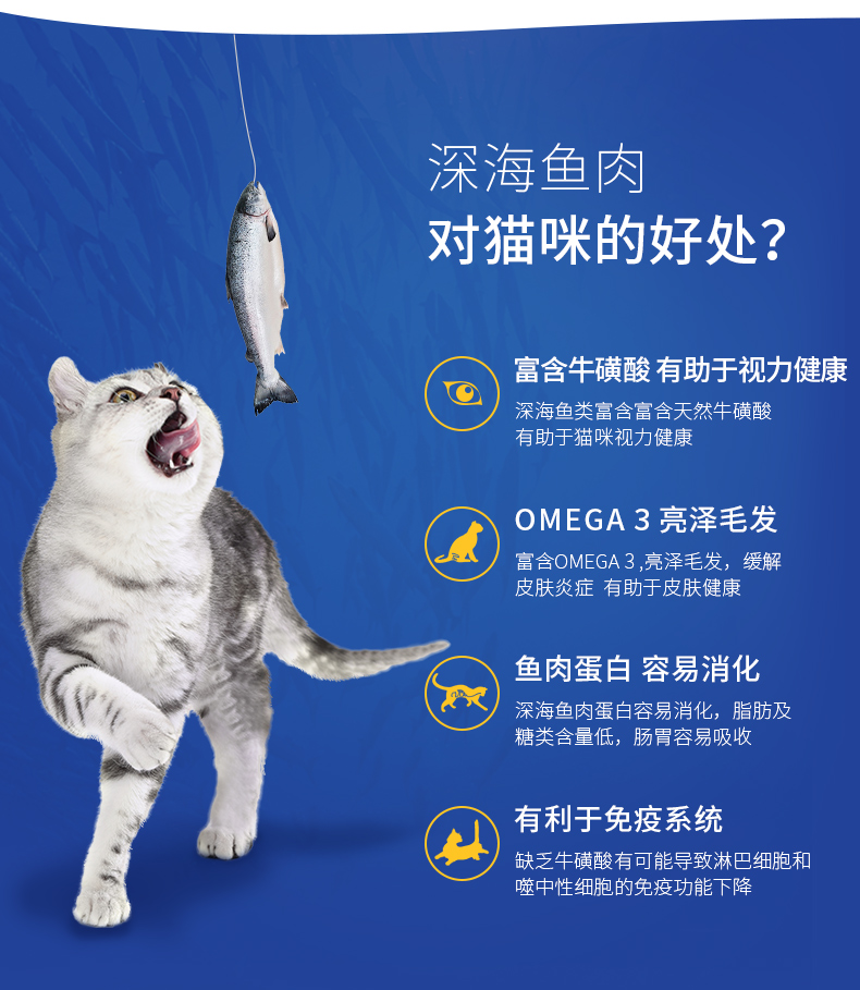 Mèo sao biển Đóng hộp Đồ ăn nhẹ Thú cưng Mèo Mèo Mèo Dinh dưỡng Mèo Ăn vặt Mèo Thức ăn ướt Đóng hộp 10 lon nên cho mèo ăn cơm hay ăn hạt