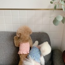 THE PAWS Milk Bag Thyme Pleated Small Short Skirt Dog Summer Vest Air Conditioning Suit Shoulder Strap Adjustable