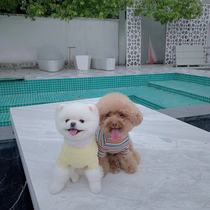 THE PAWS Milk Bag Thyme original story The little yellow flower Tee dog thin clothes