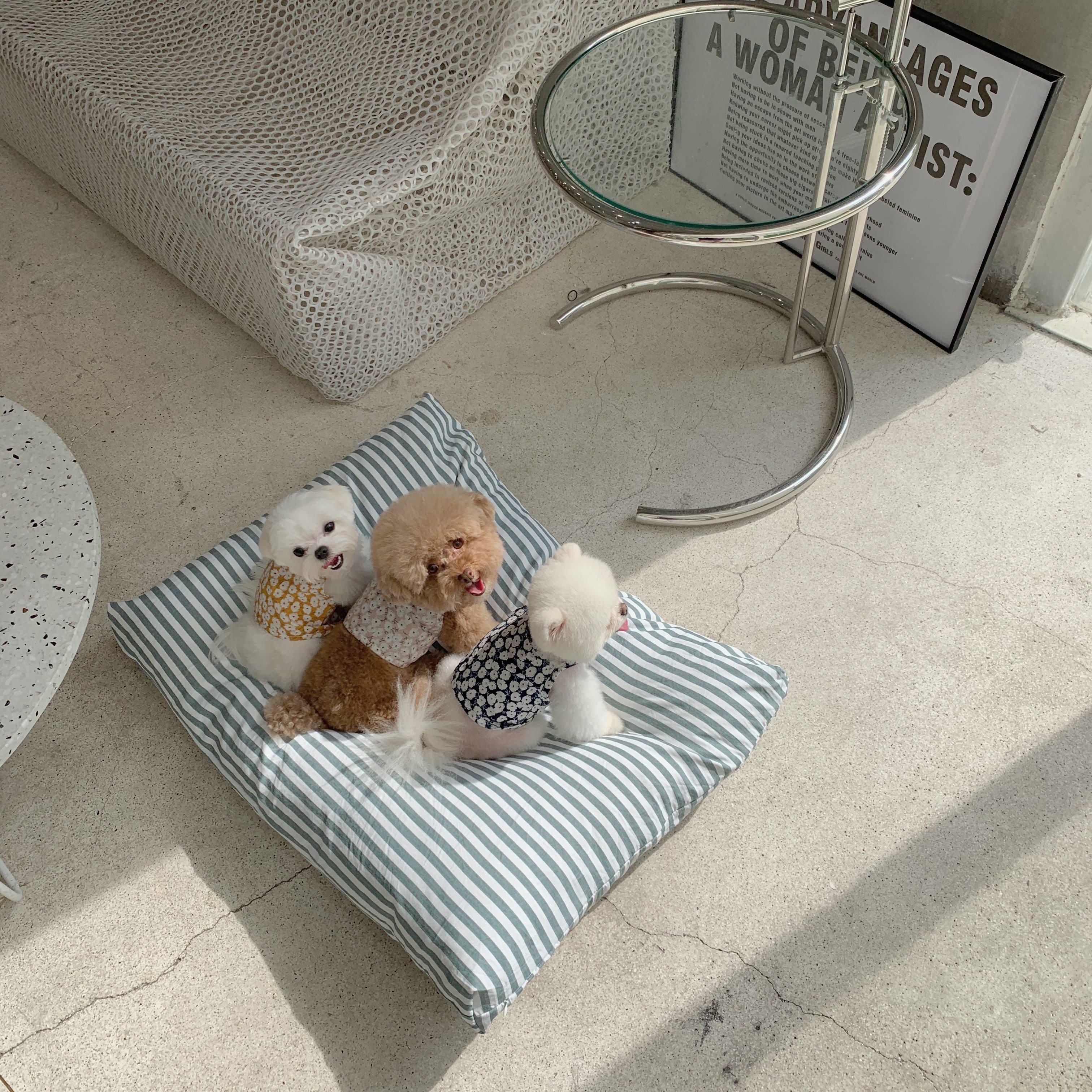 THE PAWS Milk Bag Belle Stick (Sweet Dream Nest 2 0) Square Kennel Deep Sleep Removable Washable Waterproof Cover