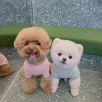 THE PAWS Milk Bag Thyme original sea breeze T-shirt pooch pocket short sleeve Tee