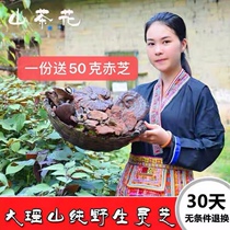 Guangxi Dayaoshan pure wild Ganoderma lucidum pruning purple Ganoderma lucidum black Ganoderma Linzhi grass can be sliced powder 250g