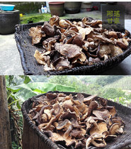Guangxi Hezhou native specialty pure natural farmhouse Linden Tree Maple Wild Mushroom Mushroom mushroom fungus