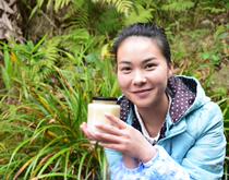 Mountain range honey dong mi schefflera tree mi soil honey