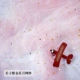 Princess Pink Venus Monthly Net Moon (цена на 1 метр)