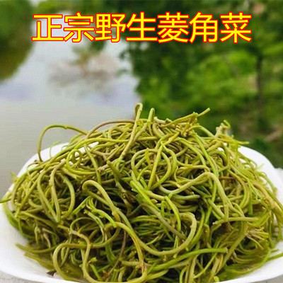 Специальность Anhui Свежебленная водная дикая крокет
