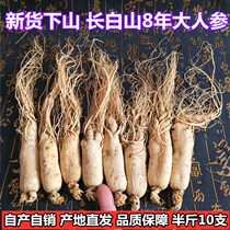 Changbai Mountain ginseng 500g20 branches raw dried ginseng Mountain ginseng dried ginseng White ginseng Whole sulfur-free raw skin white ginseng can be sliced