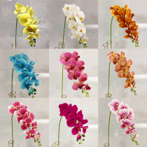Phalaenopsis simulation flower fake flower 3D over glue hand touch flower single living room silk flower decorative flower home placement wedding