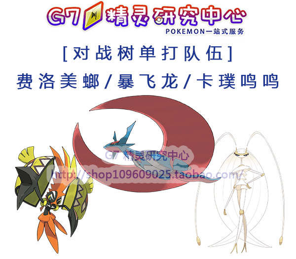 Mouth Bag Demonic Elves for the Extreme Japan Moon Sun Moon to Battle Tree Singles Team to Fly Fly