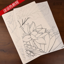 Watercolor Line Draft Fill Color Paper Imitation Book color painted beginners Hand-painted White Sketching professional Getting started