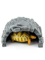 Turtle dodging the cave fish tank for view shelter from the house climbing and shelter from the caves tortoise and tortoise hidden from the sea and the mane