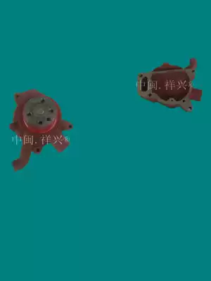 Evergreen Diesel Engine Parts Evergreen Engine Parts Evergreen 2100 Water Pump Evergreen 395 Water Pump