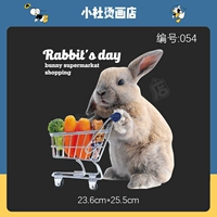 Tide Brand American Cartoon Rabbit New Pattern Hot Transfer Акклас на порошковую воду -устойчивая к промывке