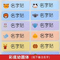 20 [молодое круглое тело] 46*15 мм