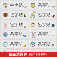 Двадцать белого фона [молодое круглое тело] 46*15 мм