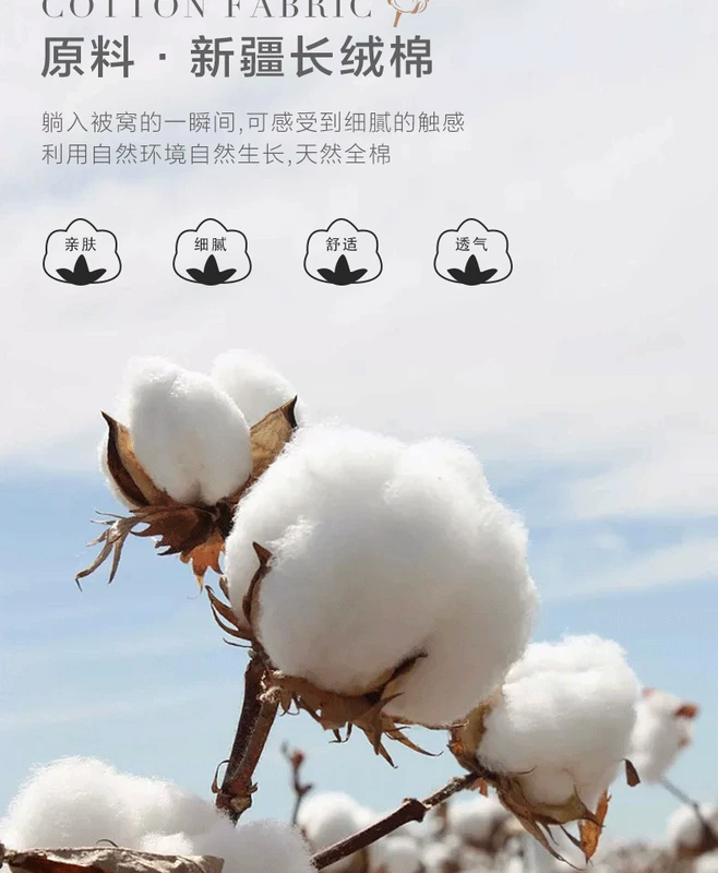 60 chiếc giường cotton cotton một miếng bông đôi dài 1,8 m bông chủ yếu trải giường bằng vải bông Simmons - Trang bị Covers