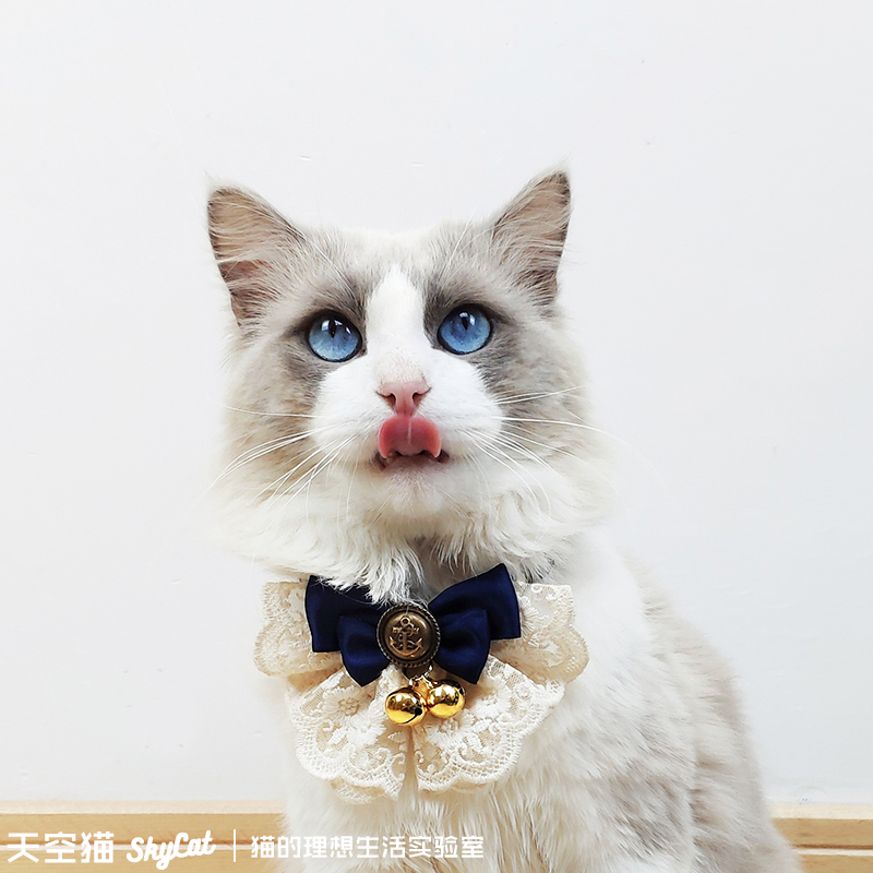 Sky Cat Cute cat bow tie Cat jewelry Bell Muppet Collar Kitten supplies Pet necklace Bow