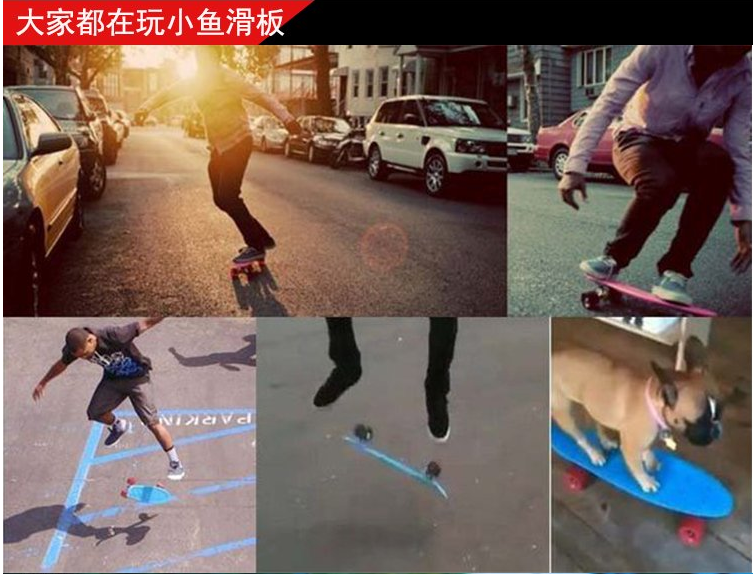 Skate ML-LMAI - Ref 2596103 Image 32