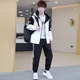 Woodpecker Spring and Autumn Jacket Men's Youth Hooded Loose Sports and Casual Suit Fashionable Two-piece Set