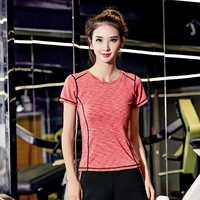 Цвет оранжевого короткого рукава (одинокий)