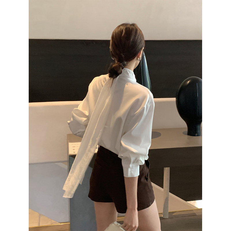 Wenran White Stand-Up Collar Design Shirt for Women, Spring and Autumn, with a Ribbon on the Back, Suitable for Work and Casual Wear Wenran White Stand-Up Collar Design Shirt for Women, Spring and Autumn, with a Ribbon on the Back, Suitable for Work and Casual Wear