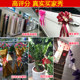 Wedding Decoration Supplies Flower Butterfly Wedding Room Hand Draw Flower Gift Wedding Car Car Flower Ribbon Ribbon