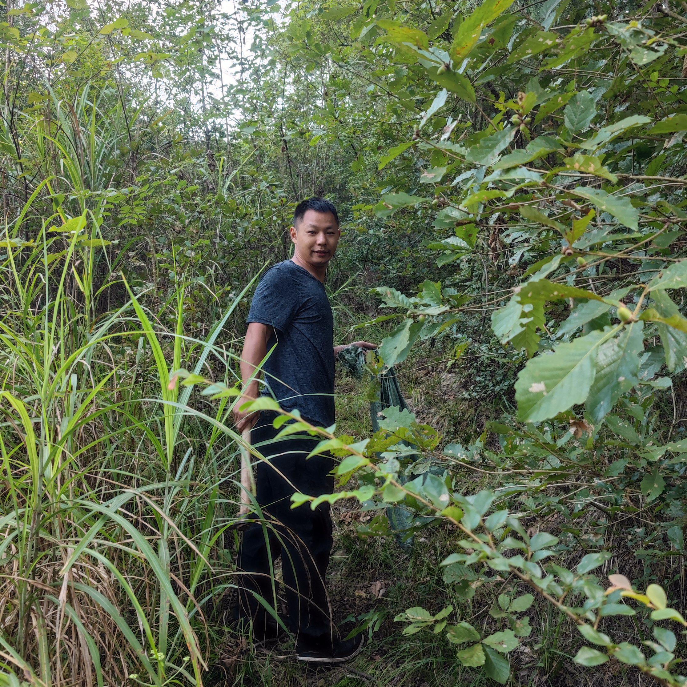 阿德赶山