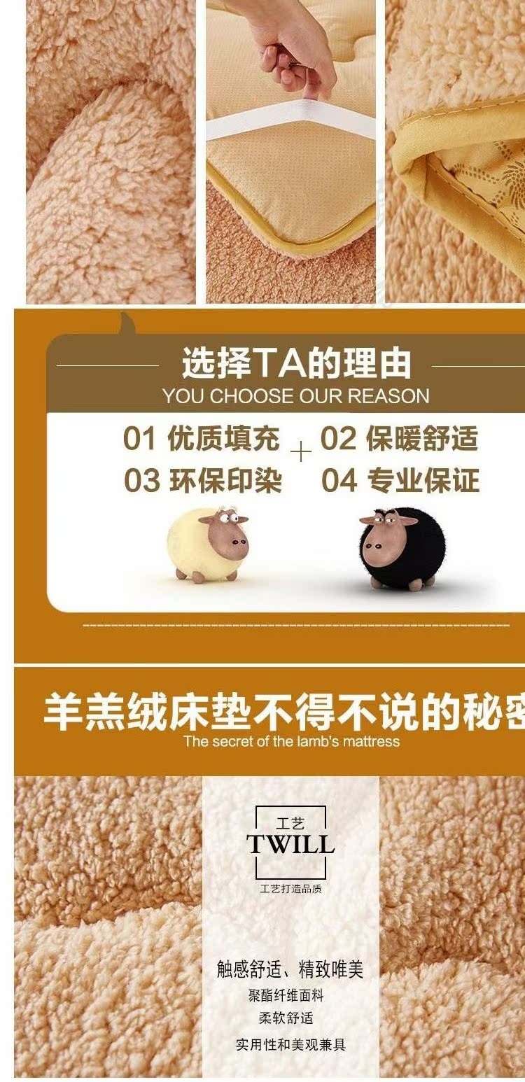 Đệm lưng chăn đơn dày dày Giường đơn cộng với đệm nhung 褥 Giường nệm sang trọng đệm everon chính hãng