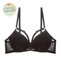 Обновить черный (одна -кота)