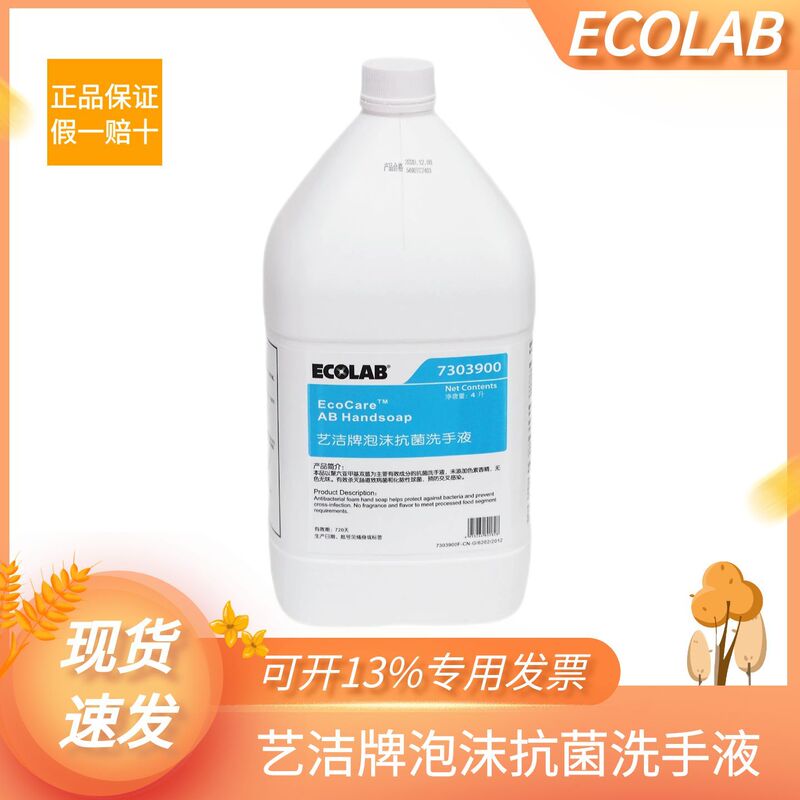Ecoclean Foam Antibacterial Hand Sanitizer 7303900