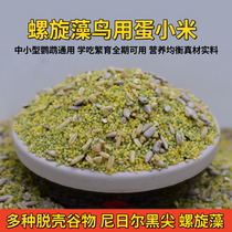 Mixed grain eggs millet eggs rice tiger skin peony black phoenix small and medium-sized parrots learn to eat nutritious breeding feed bird food