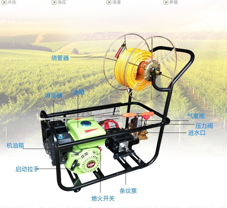 Hand-push petrol spray spray disinfection machine (110 agroforestry)