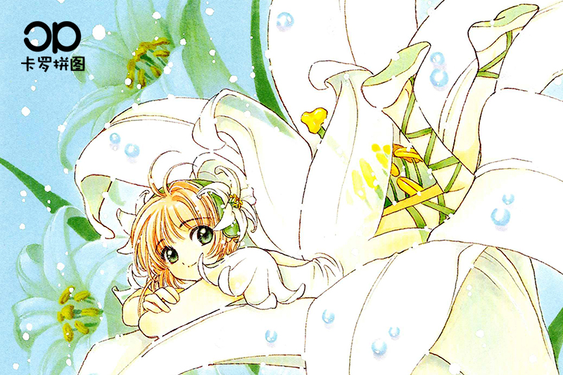 Cullo Magician Variety Sakura Cartoon Anime Wooden Puzzle Classic Anime 1000 Pieces Can Be Customized