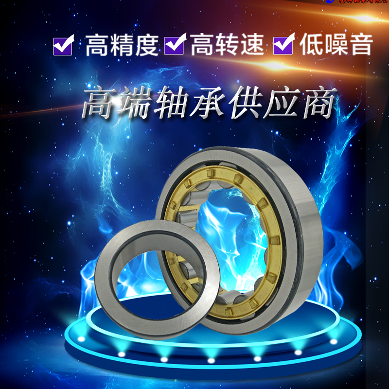 Imported NSK bearings N318 N319 N320 N321 N322 N324 E W EW M EM ET C3