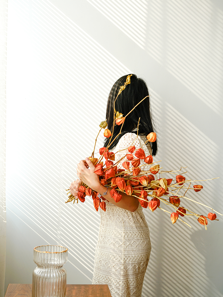 Pure Imported Sour Berries Fruit Lantern Fruit Flower Arrangement Plant Fruit Red Fruits Red Fruits Natural Dry Flower Dried Fruit Family Residence Design-Taobao